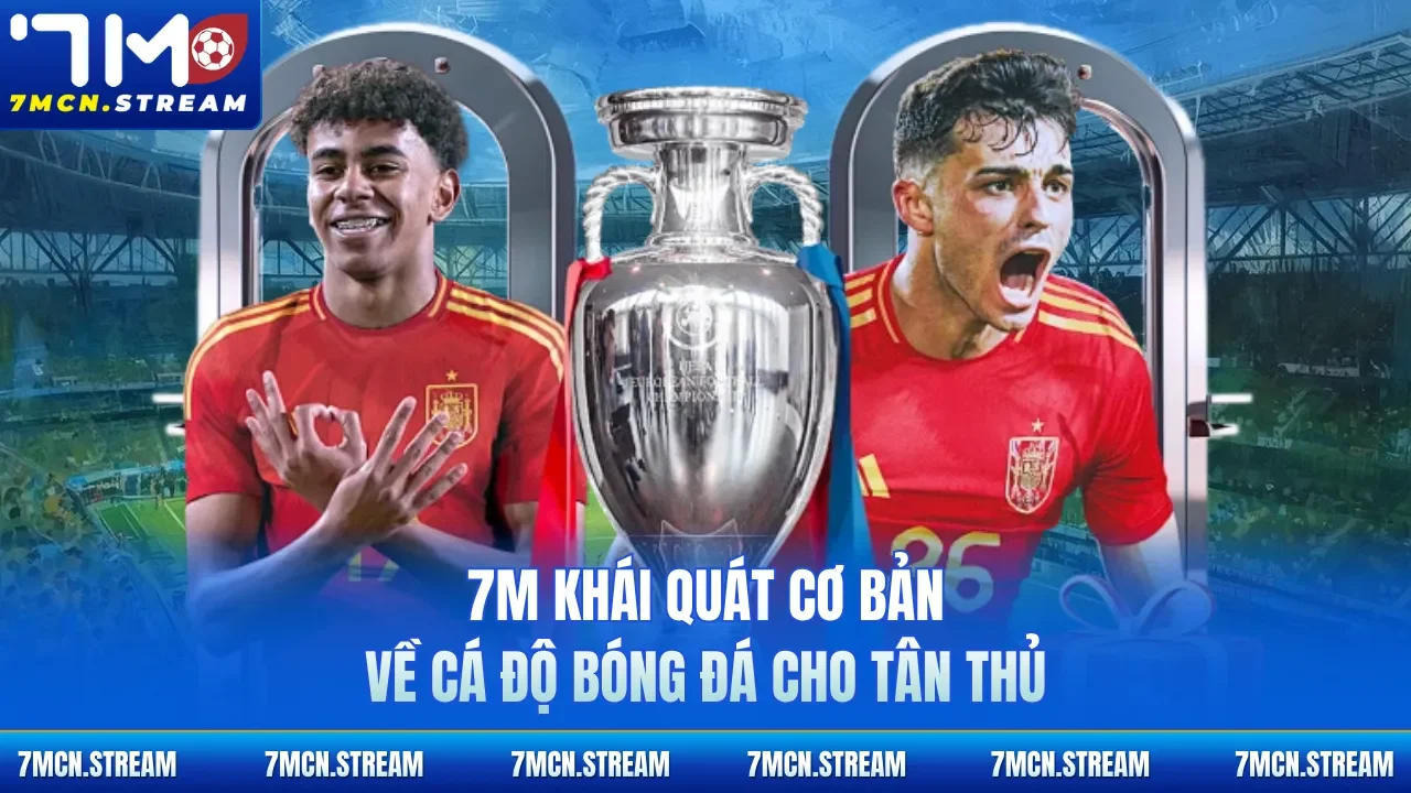 7M khái quát cơ bản về cá độ bóng đá cho tân thủ