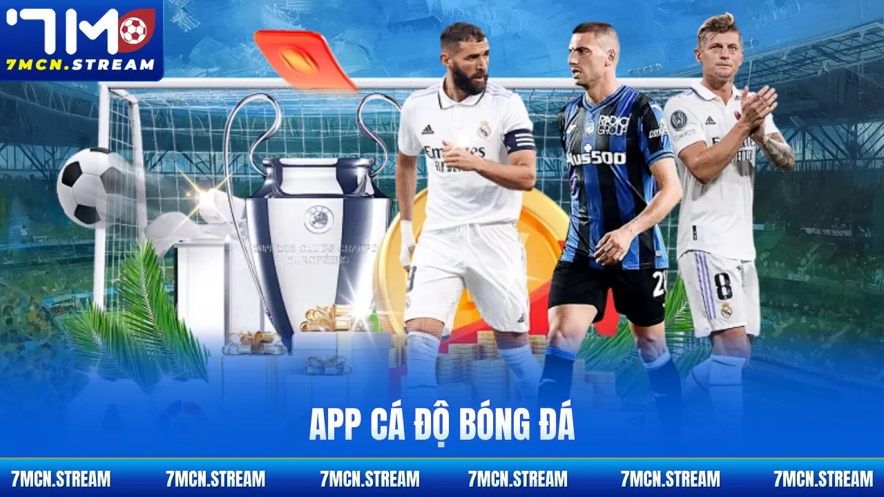 App cá độ bóng đá