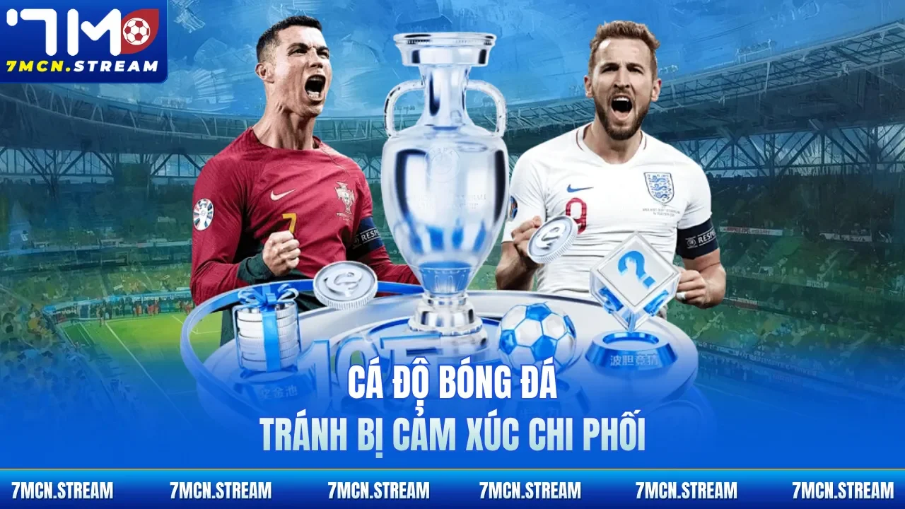 Cá độ bóng đá tránh bị cảm xúc chi phối