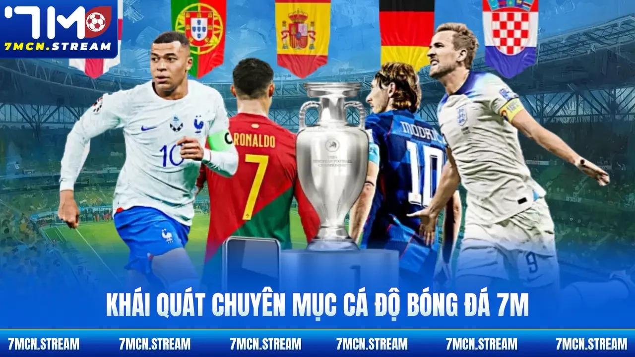 Khái quát chuyên mục cá độ bóng đá 7M