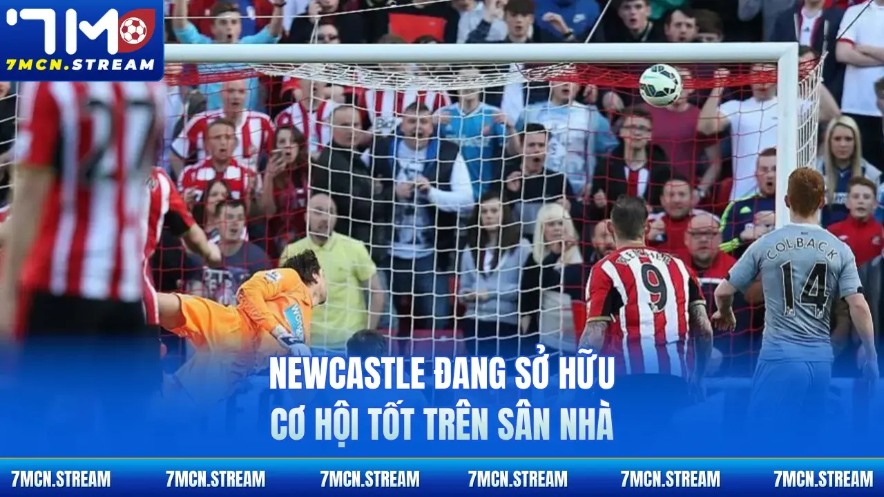 Newcastle đang sở hữu cơ hội tốt trên sân nhà