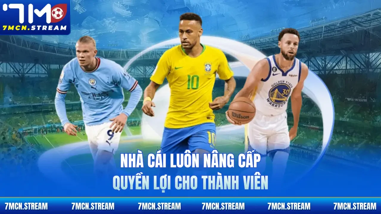 Nhà cái luôn nâng cấp quyền lợi cho thành viên