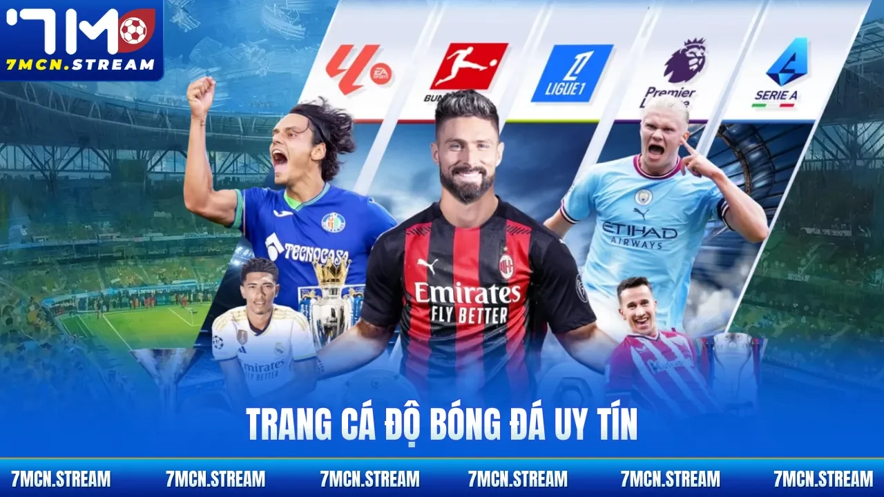 trang cá độ bóng đá uy tín
